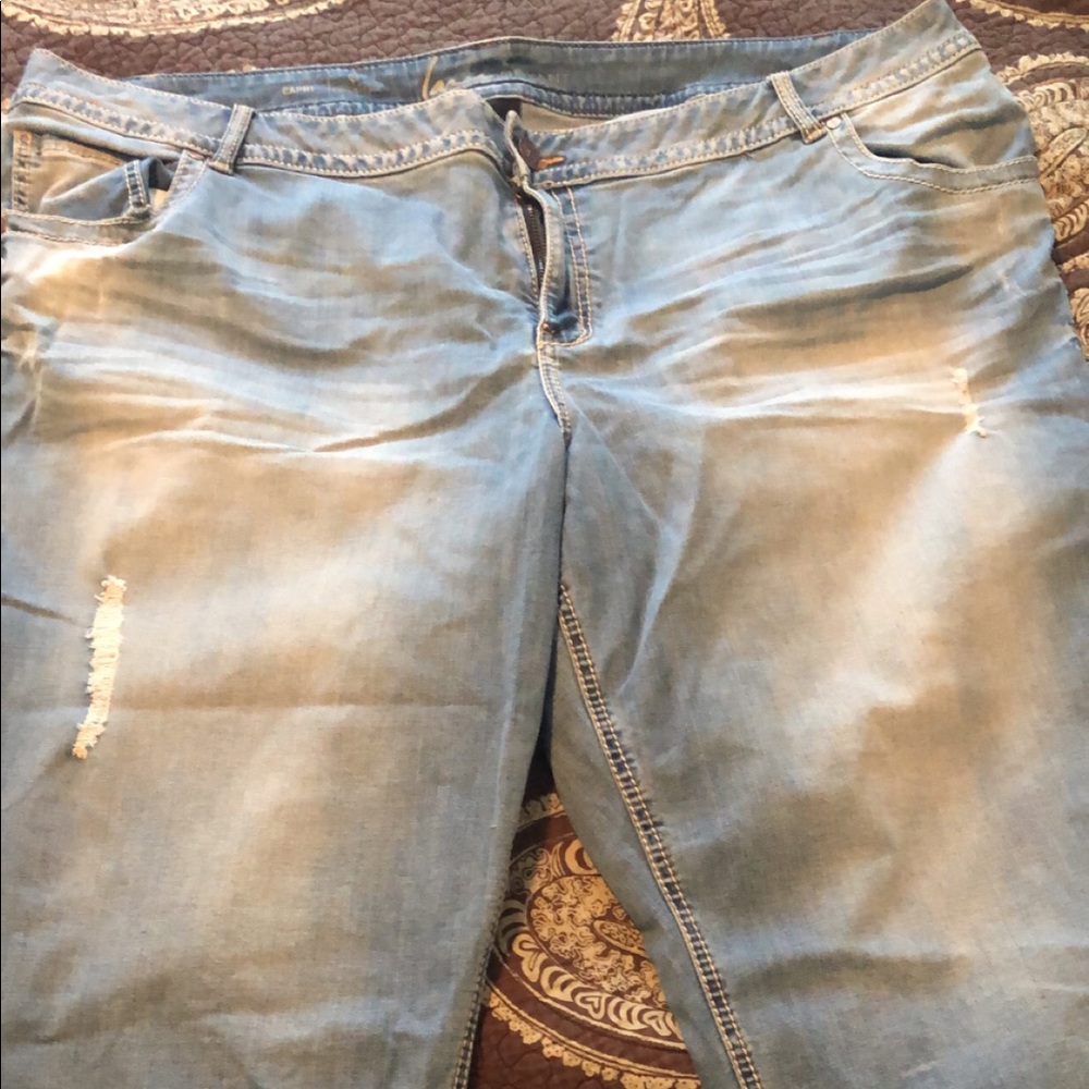 Lane Bryant Genius Fit Capris